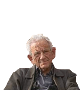 Peregrino